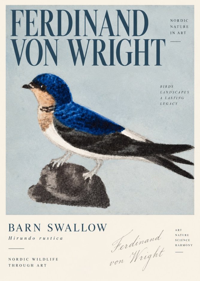 Ferdinand von Wright Swallow (Hirundo Rustica) No4 - Poster