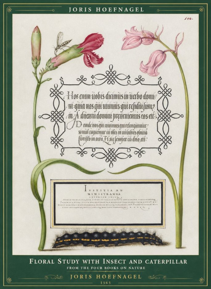 Joris Hoefnagel Floral Study with Insect and Caterpillar No1 - Poster