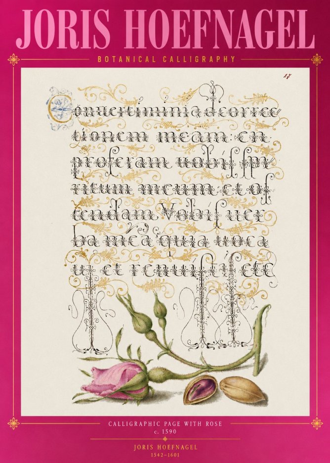 Joris Hoefnagel Calligraphic Page with Rose No2 - Poster