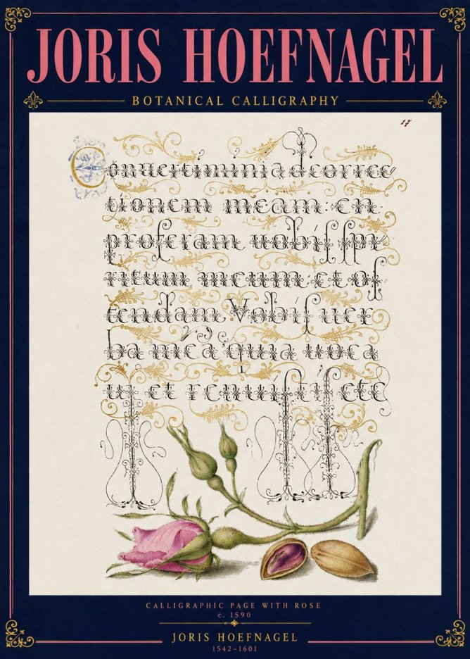 Joris Hoefnagel Calligraphic Page with Rose No4 - Poster