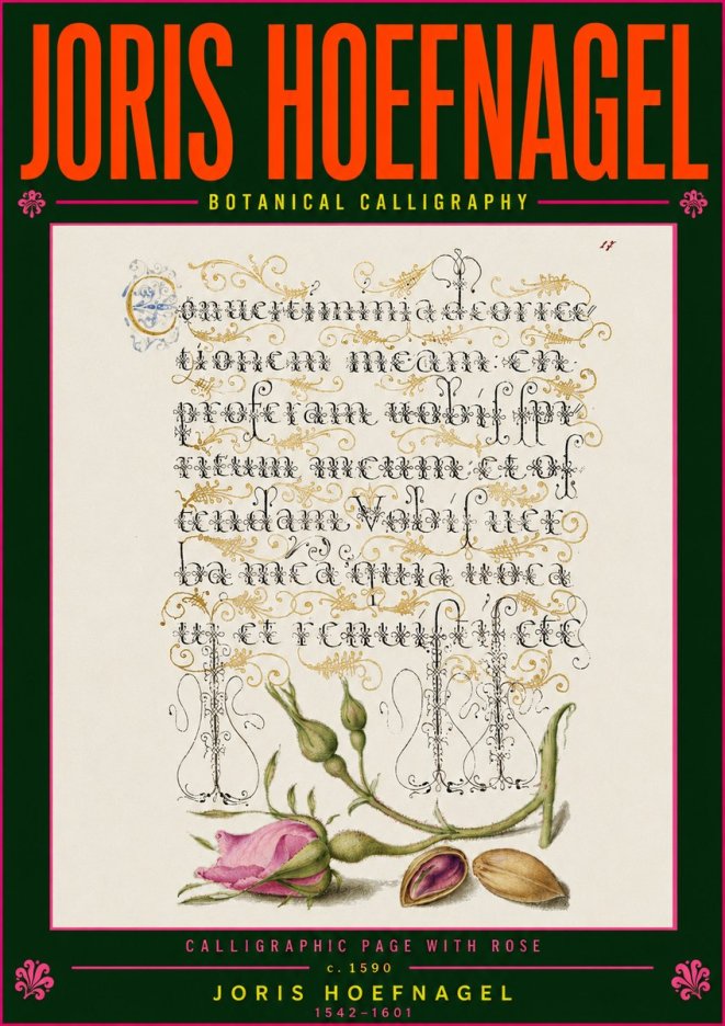 Joris Hoefnagel Calligraphic Page with Rose No5 - Poster