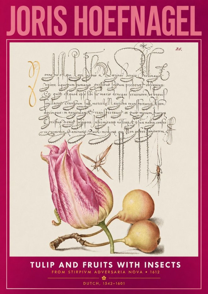 Joris Hoefnagel Tulip and Fruits with Insects No2 - Poster