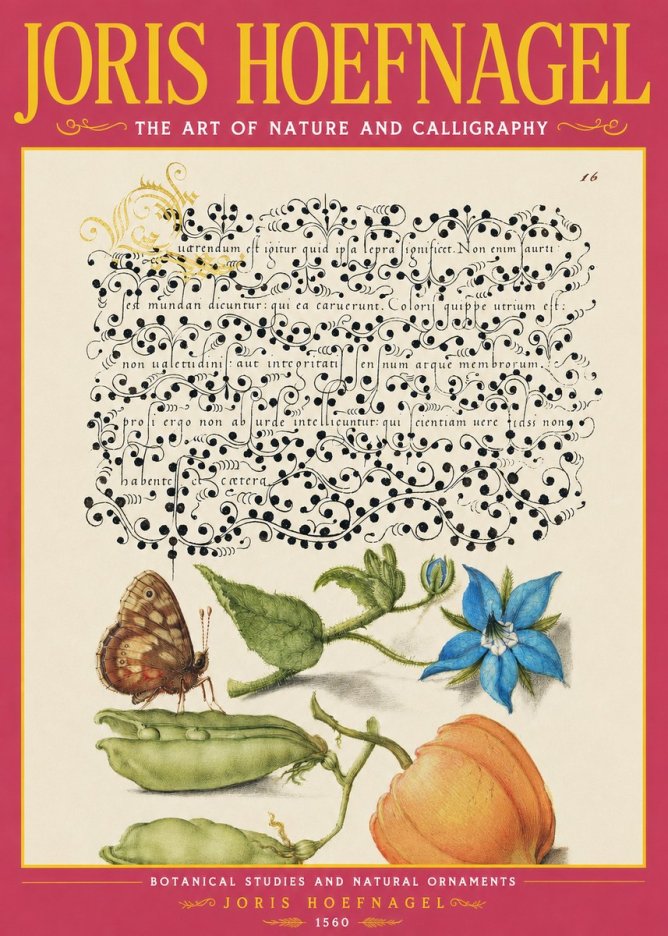 Joris Hoefnagel Study of Plants and Butterfly No4 - Poster
