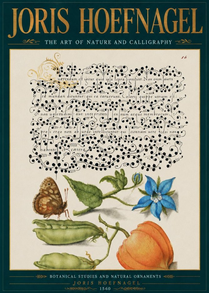 Joris Hoefnagel Study of Plants and Butterfly No5 - Poster