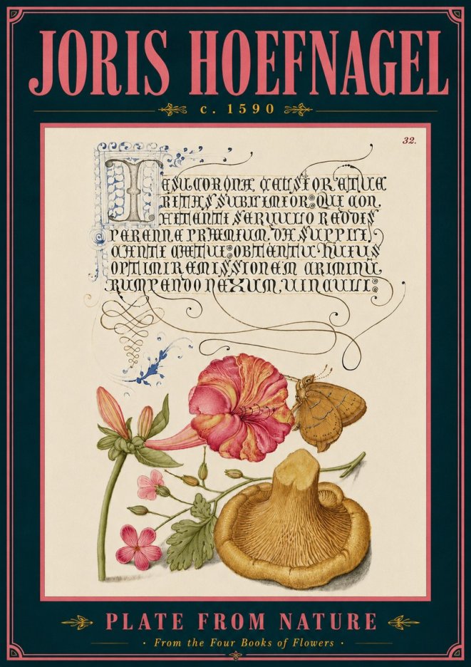 Joris Hoefnagel A Study of Nature II No6 - Poster