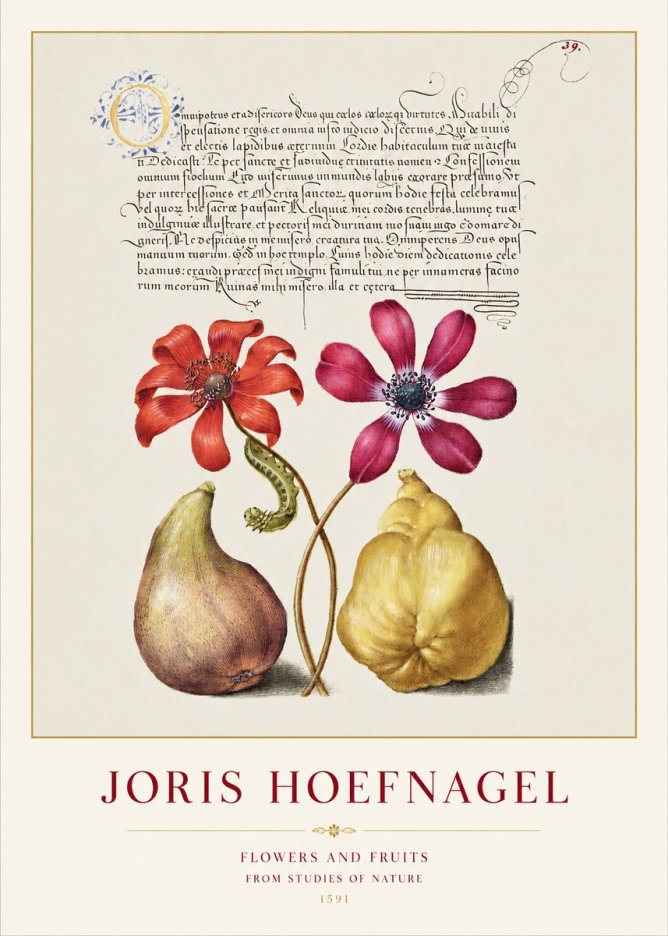 Joris Hoefnagel Flowers and Fruits No1 - Poster