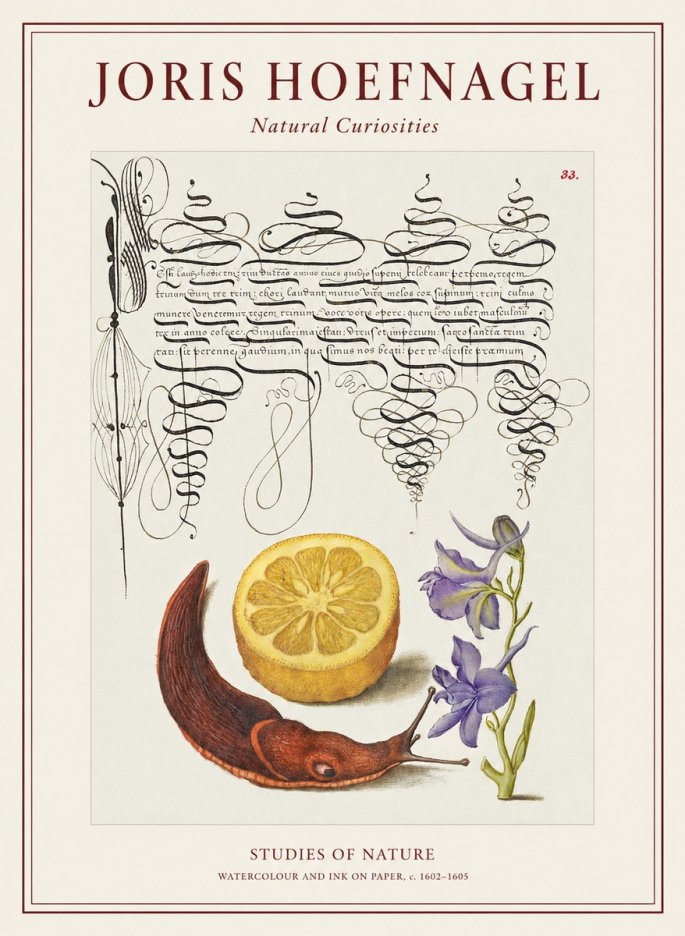Joris Hoefnagel Studies of Nature No1 - Poster
