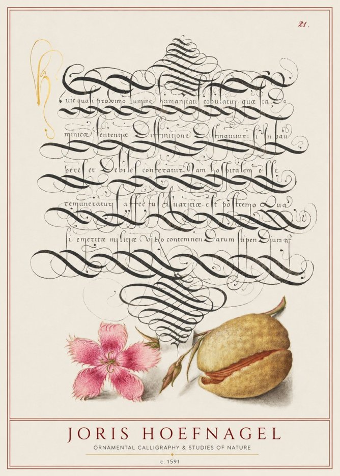 Joris Hoefnagel Ornamental Calligraphy & Studies of Nature No1 - Poster