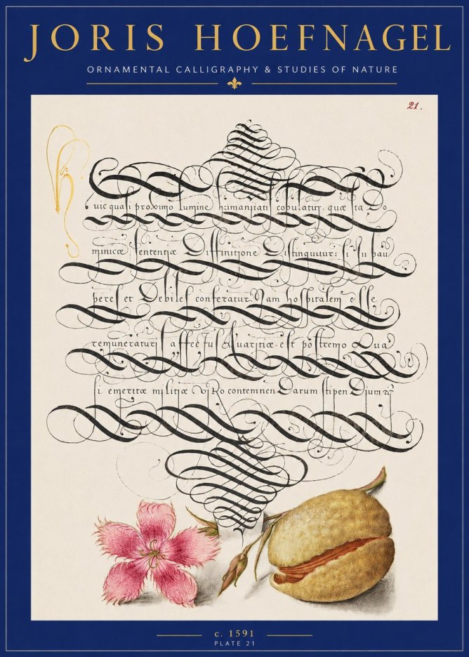 Joris Hoefnagel Ornamental Calligraphy & Studies of Nature No2 - Poster