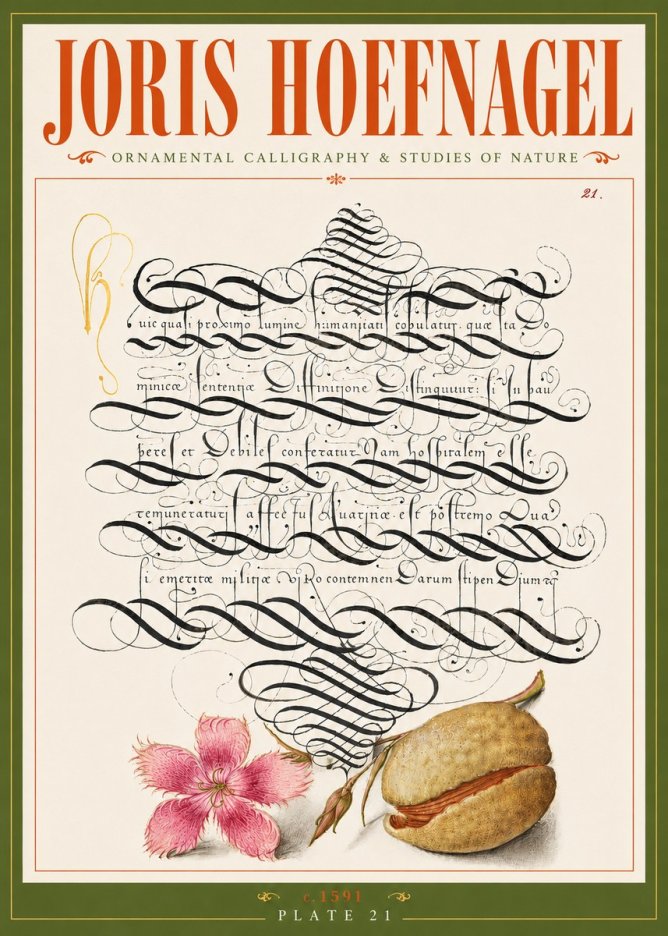 Joris Hoefnagel Ornamental Calligraphy & Studies of Nature No6 - Poster