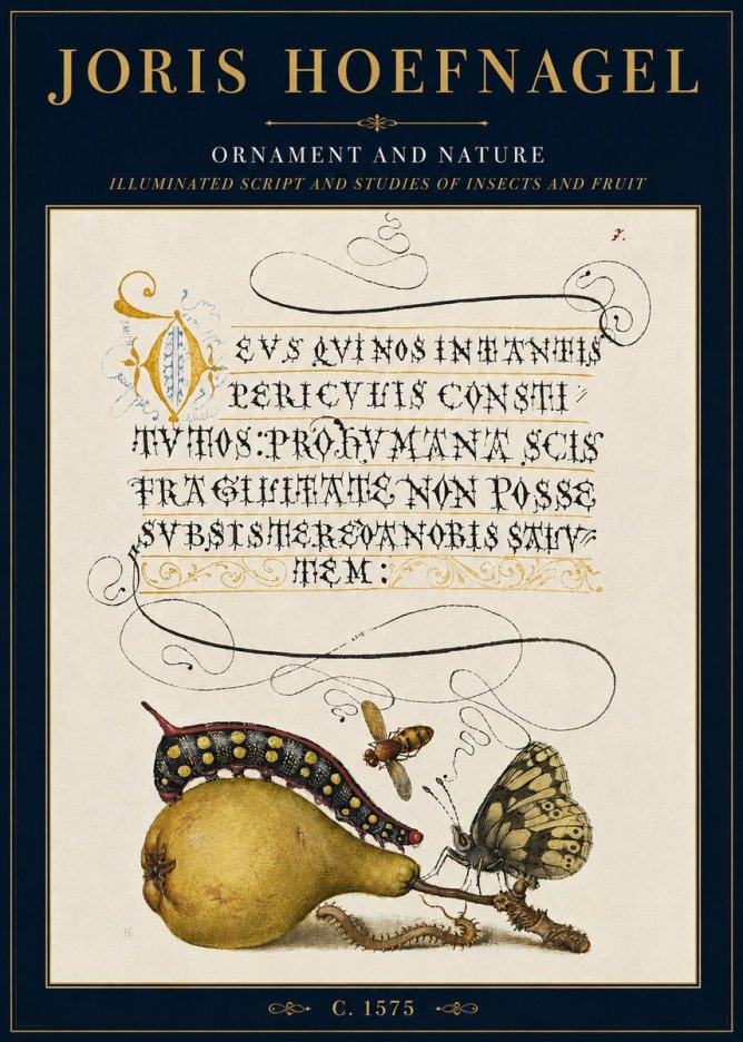 Joris Hoefnagel Ornament and Nature - Illuminated Script and Studies of Insects and Fruit No3 - Poster