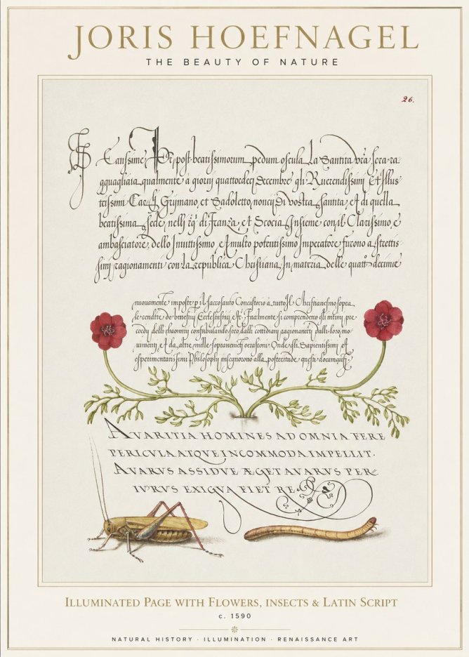 Joris Hoefnagel Illuminated Page with Flowers, Insects & Latin Script No1 - Poster