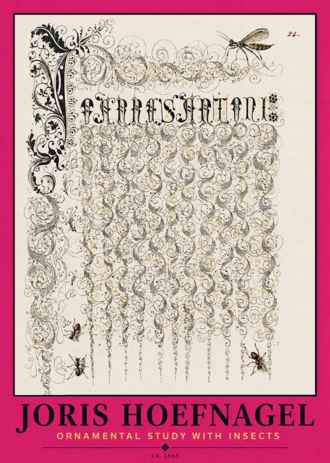 Joris Hoefnagel Ornamental Study with Insects No2 - Poster