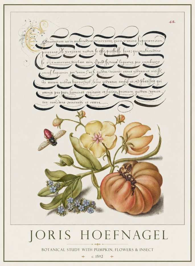 Joris Hoefnagel Botanical Study with Pumpkin, Flowers & Insect No1 - Poster
