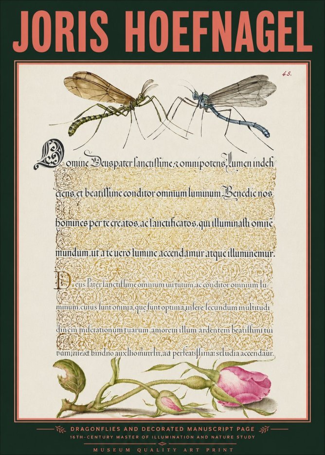 Joris Hoefnagel Dragonflies and Decorated Manuscript Page No3 - Poster