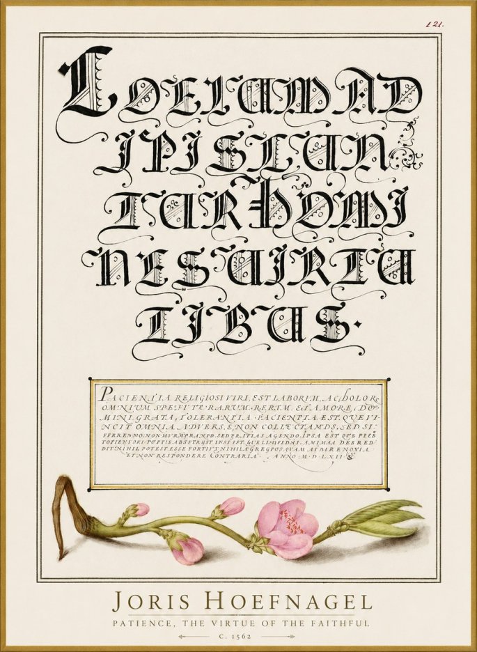 Joris Hoefnagel Calligraphic Alphabet from a Book of Lettering No3 - Poster