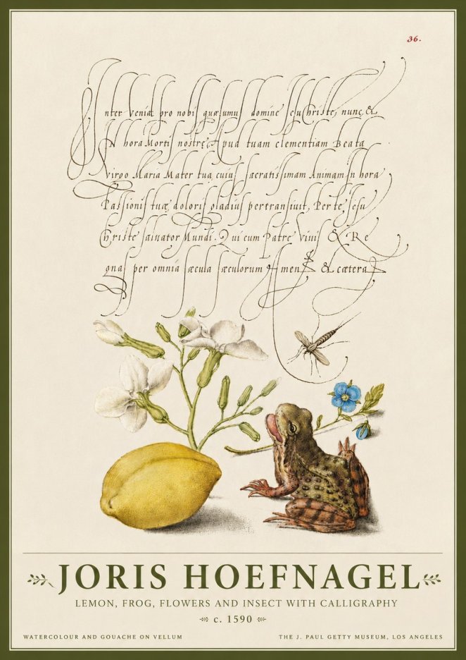 Joris Hoefnagel Nature Study with Lemon, Flowers, Frog & Insect No4 - Poster