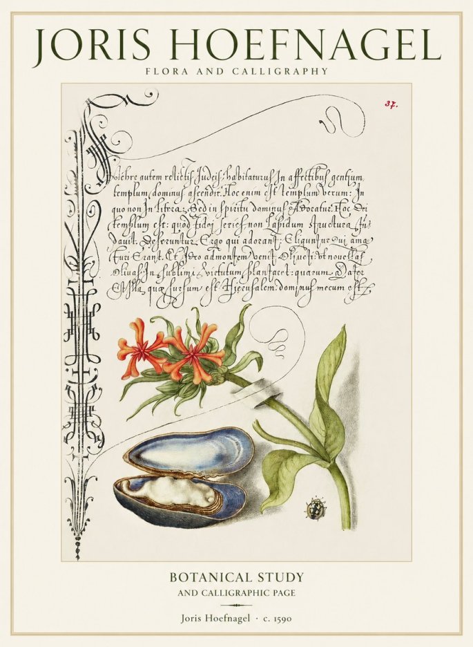 Joris Hoefnagel Botanical Study and Calligraphic Page No1 - Poster