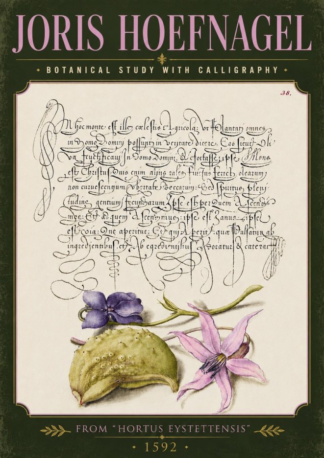 Joris Hoefnagel Botanical Study with Calligraphy I No5 - Poster