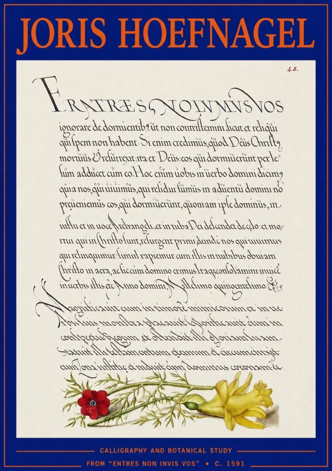 Joris Hoefnagel Calligraphy and Botanical Study I No3 - Poster