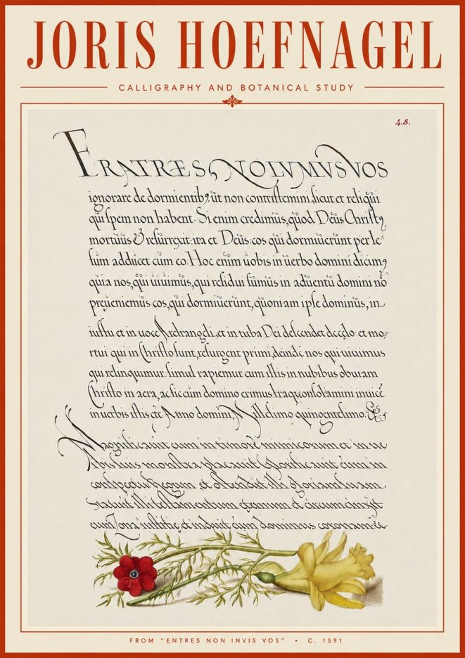 Joris Hoefnagel Calligraphy and Botanical Study I No6 - Poster