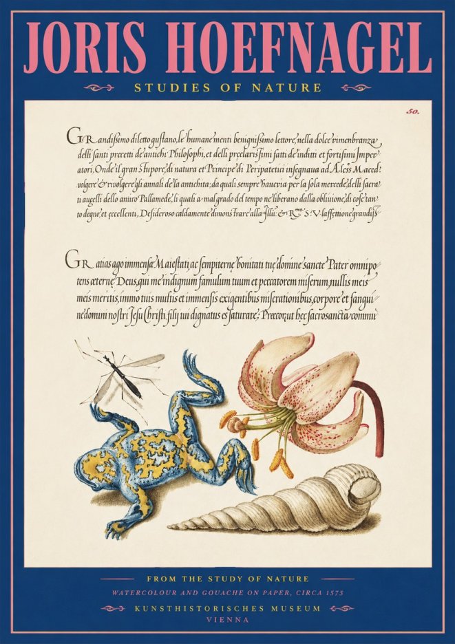 Joris Hoefnagel From the Study of Nature No2 - Poster