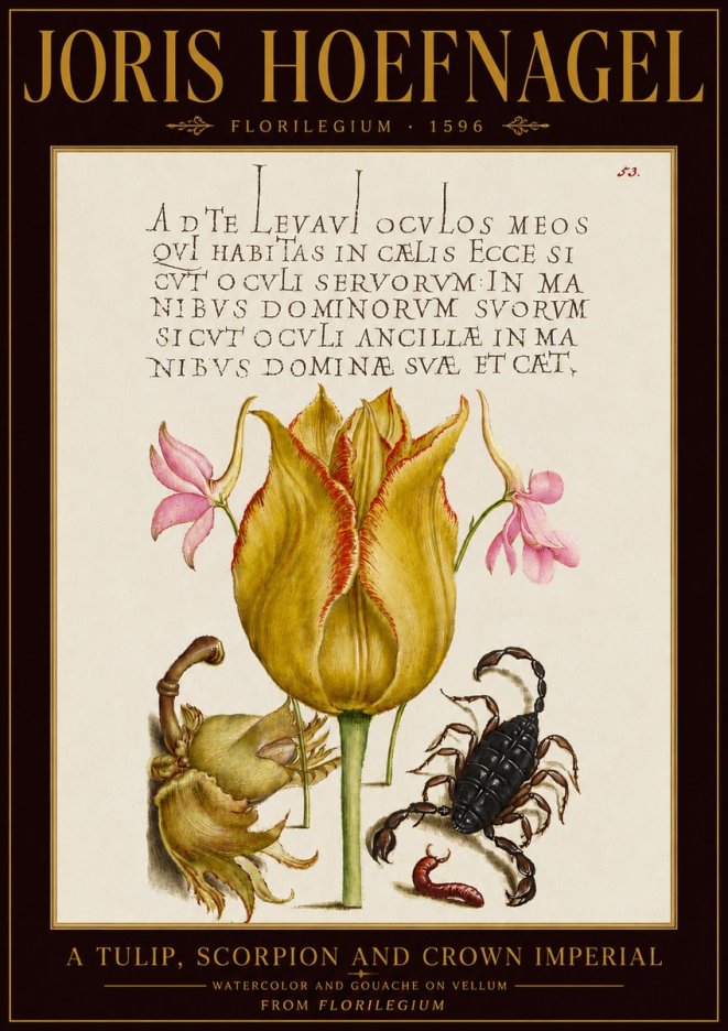 Joris Hoefnagel A Tulip, Scorpion and Crown Imperial No5 - Poster