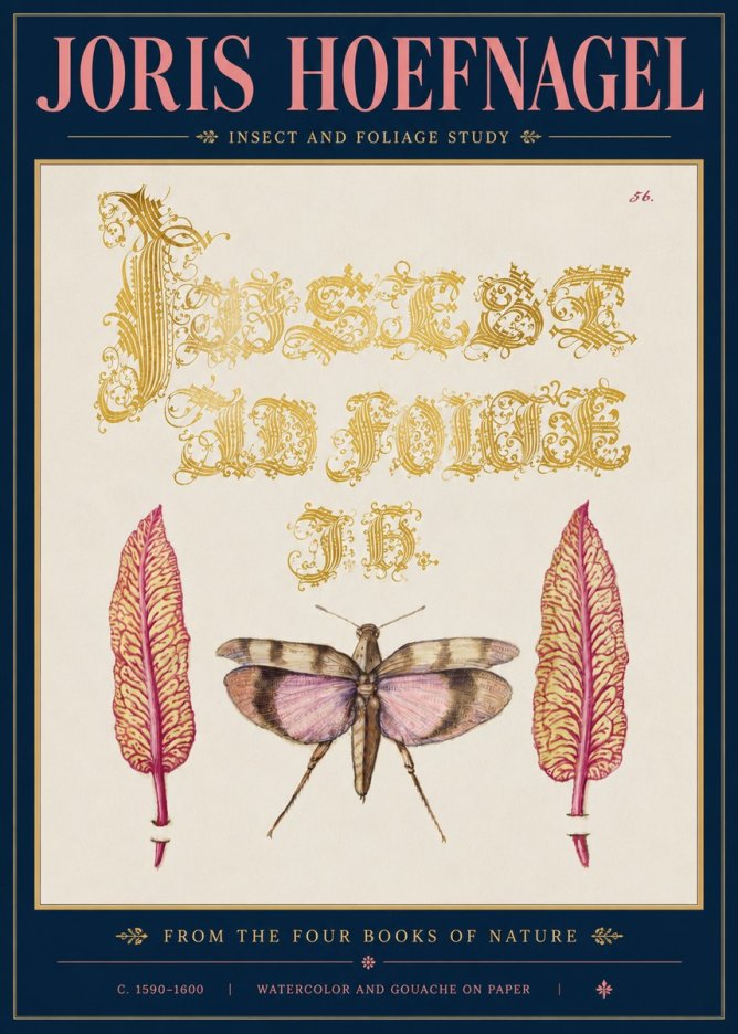 Joris Hoefnagel Insect and Foliage Study No5 - Poster