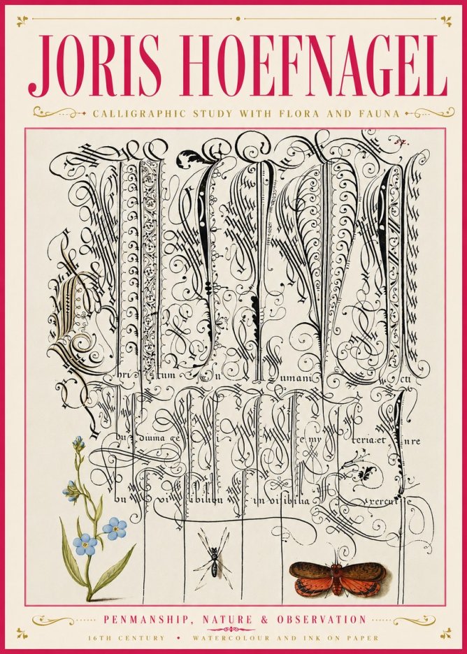Joris Hoefnagel Calligraphic Study with Flora and Fauna No6 - Poster