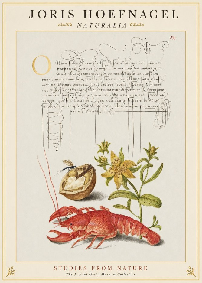 Joris Hoefnagel Studies from Nature No1 - Poster