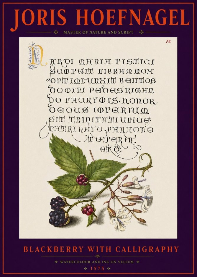 Joris Hoefnagel Calligraphy and Botanical Study II No6 - Poster