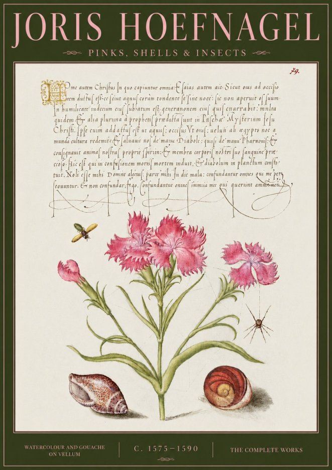 Joris Hoefnagel Pinks, Shells & Insects No4 - Poster