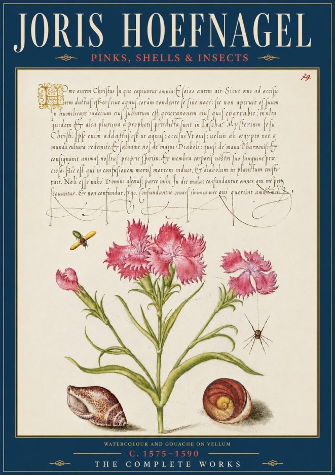Joris Hoefnagel Pinks, Shells & Insects No5 - Poster
