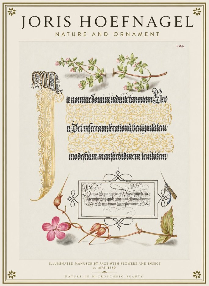 Joris Hoefnagel Illuminated Manuscript Page with Flowers and Insect No1 - Poster