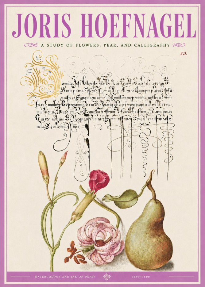 Joris Hoefnagel Botanical Study with Calligraphy II No5 - Poster