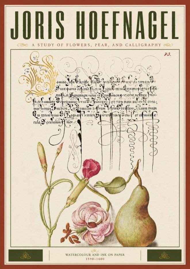 Joris Hoefnagel Botanical Study with Calligraphy II No6 - Poster