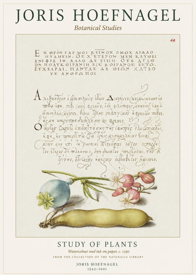 Joris Hoefnagel Study of Plants I No1 - Poster