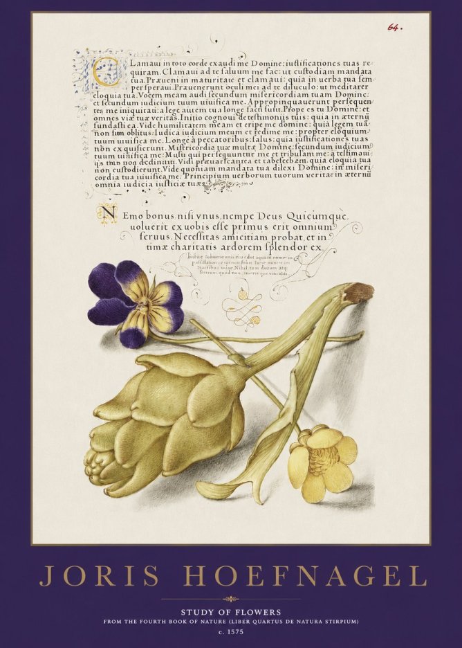 Joris Hoefnagel Botanical Study with Calligraphy III No3 - Poster