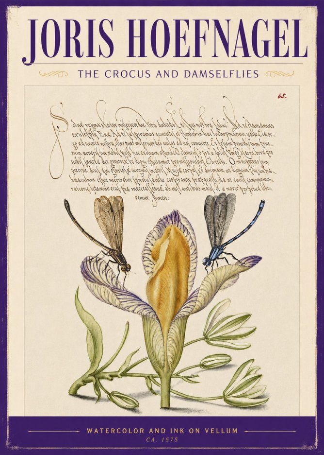 Joris Hoefnagel The Crocus and Damselflies No2 - Poster