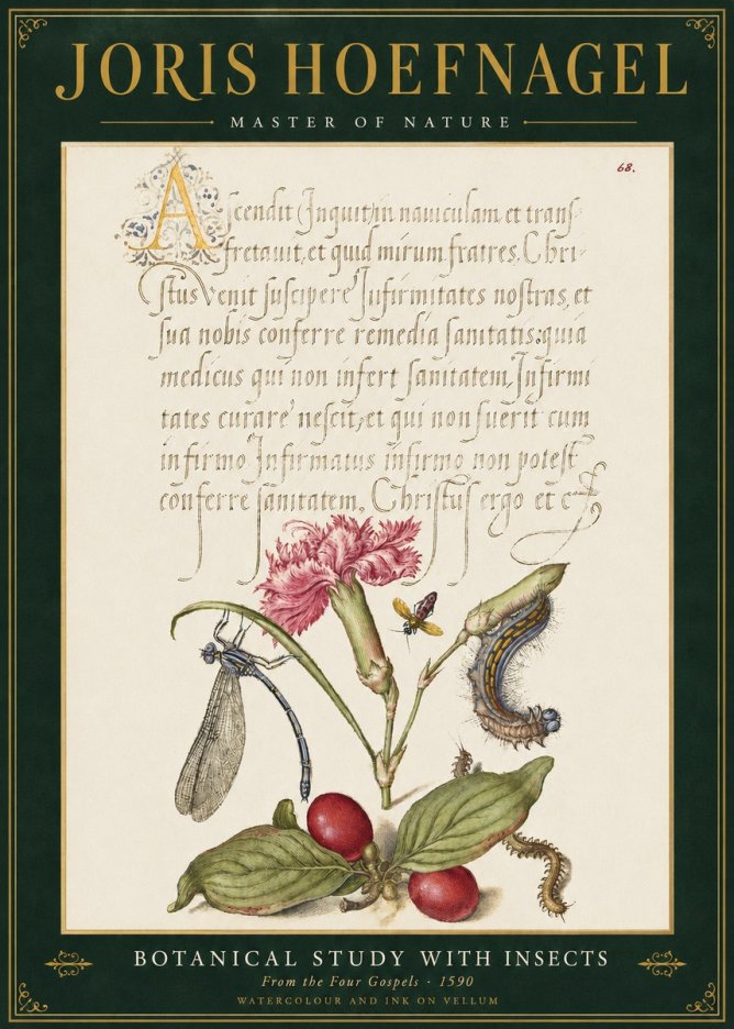 Joris Hoefnagel Botanical Study with Insects No3 - Poster
