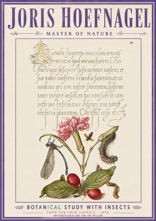 Joris Hoefnagel Botanical Study with Insects No6 - Poster
