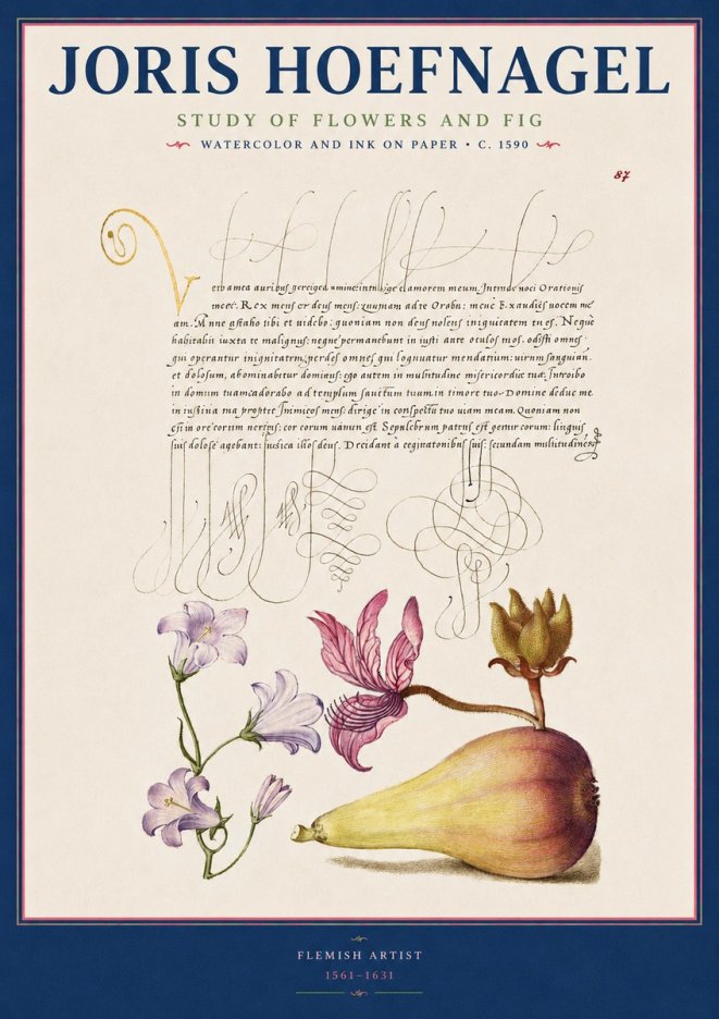 Joris Hoefnagel Study of Plants II No3 - Poster