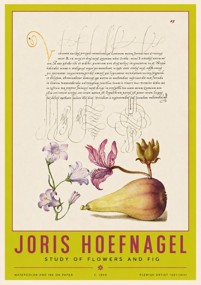 Joris Hoefnagel Study of Plants II No4 - Poster