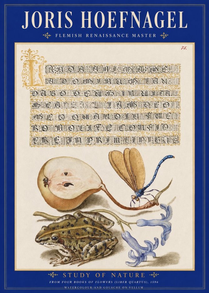 Joris Hoefnagel Study of Nature II No2 - Poster