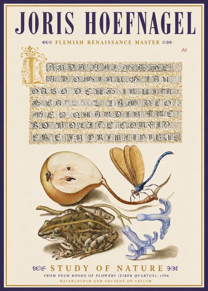 Joris Hoefnagel Study of Nature II No5 - Poster