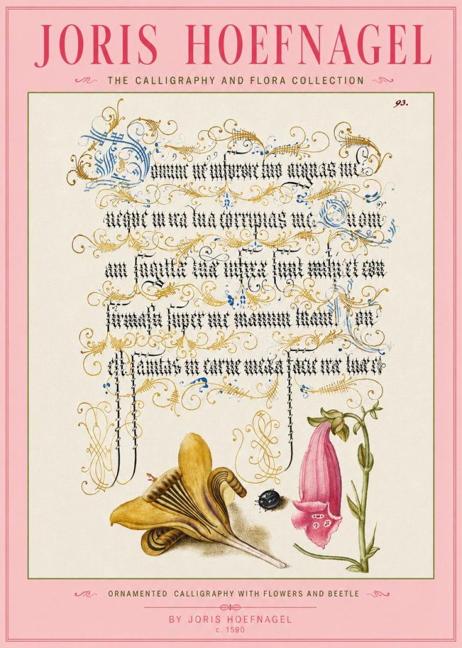 Joris Hoefnagel Ornamented Calligraphy with Flowers and Beetle No3 - Poster