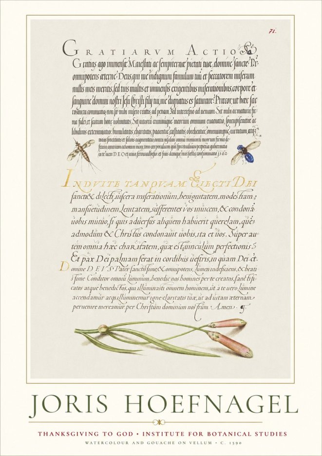 Joris Hoefnagel Thanksgiving to God • Institute for Botanical Studies No1 - Poster