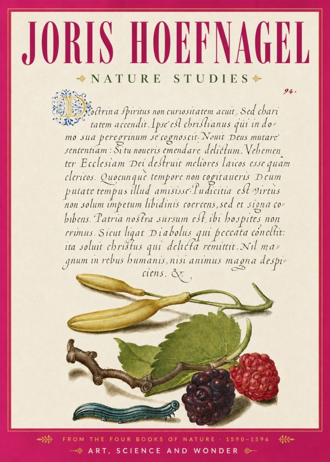 Joris Hoefnagel Nature Studies No6 - Poster