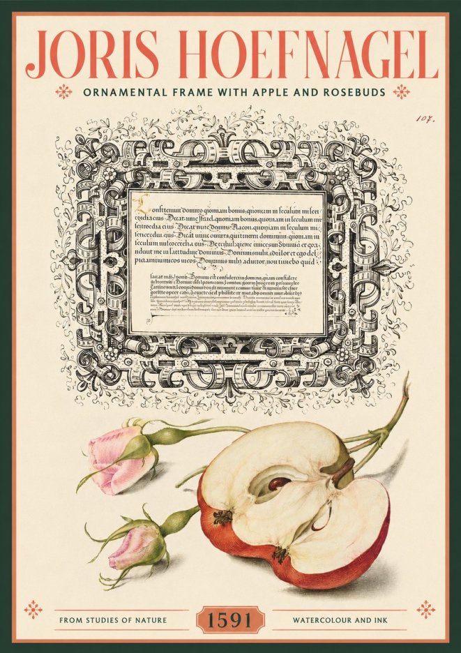Joris Hoefnagel Illuminated Calligraphy and Botanical Study No3 - Poster