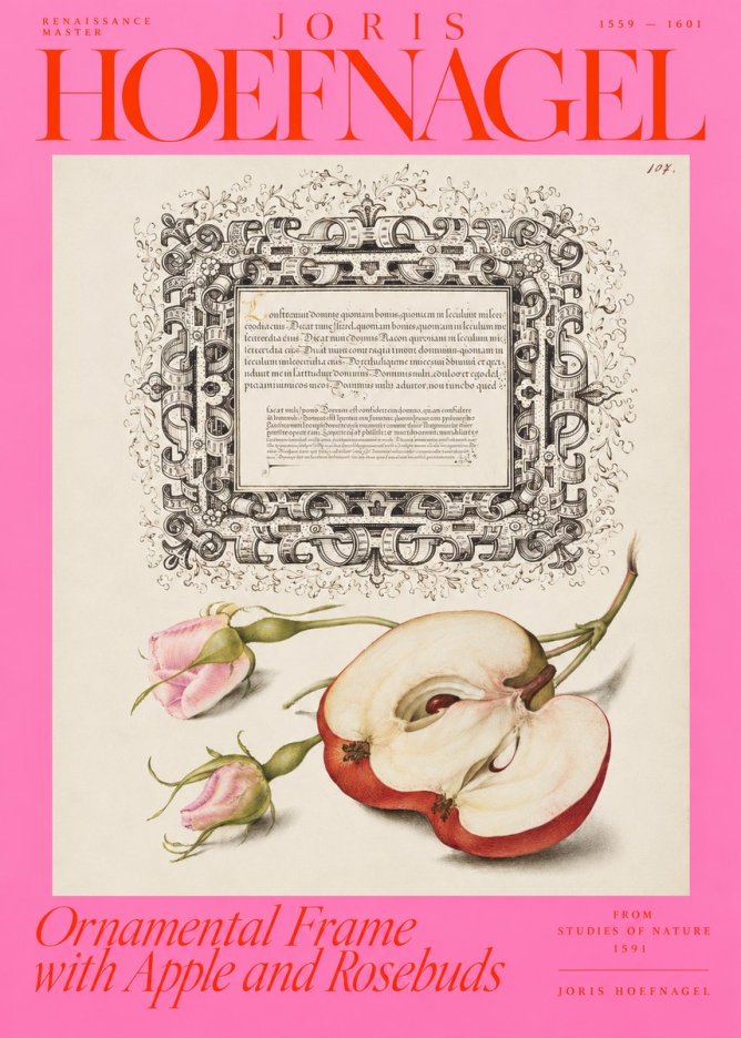 Joris Hoefnagel Illuminated Calligraphy and Botanical Study No4 - Poster